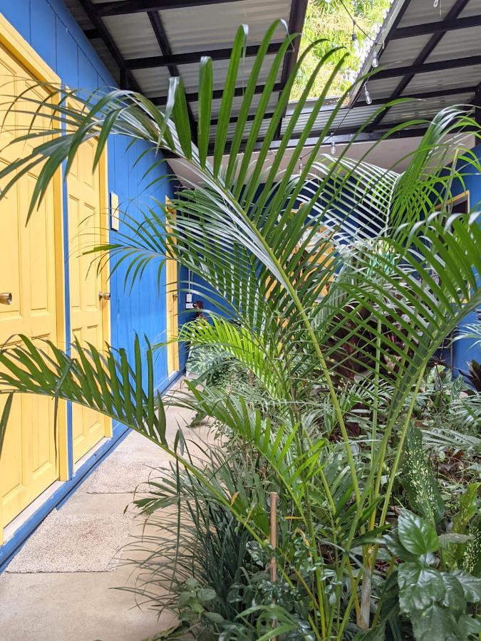 Guesthouse Congo Tempisque Ліберія Екстер'єр фото